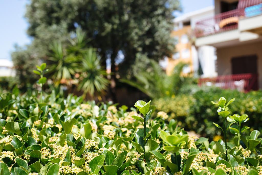 S'Arena Bianca Apartment Alghero Buitenkant foto